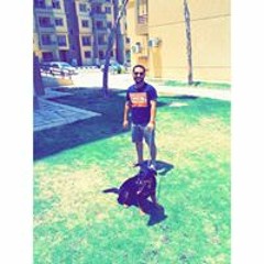 Ahmed A. Shaheen