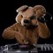 dj bear