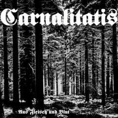 Vom Waldweg zum Friedhof
