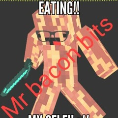 Mr.Bacon Bits