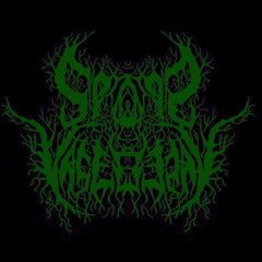 Ritu Raj Islary SxVx