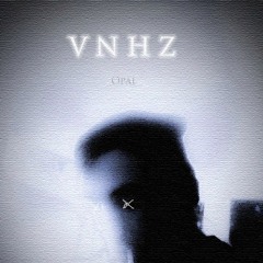 VNHZ