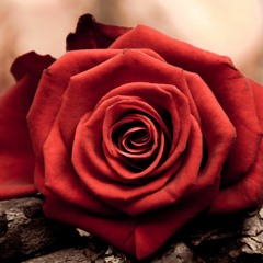 Regine