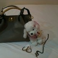 عادل الحصيني