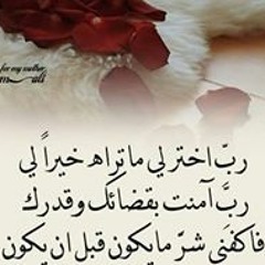 Mai Mahmoud