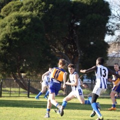 Jarrem Jeffries-Hayes