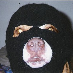 K9
