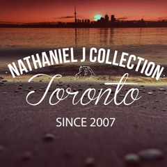 Nathaniel J Collection