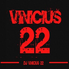 DJ VINICIUS 22
