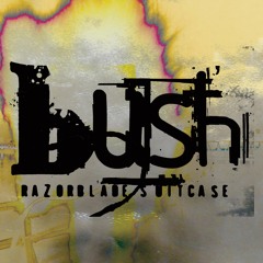 BUSHofficial