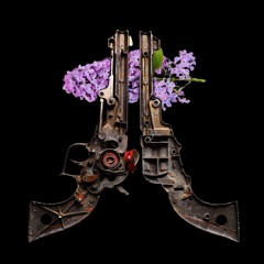Gunpowder & Perfume