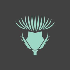 Milk Thistle Records