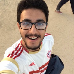 Mohammad Essam Salim