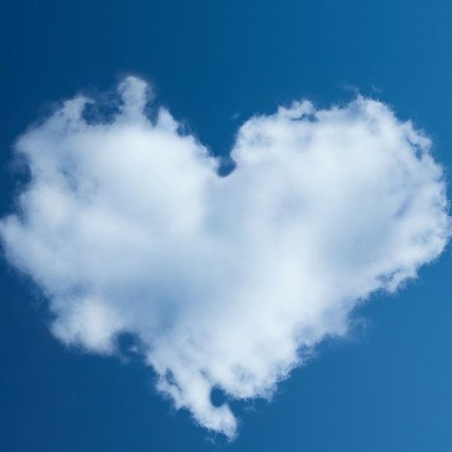 DetKalder af DetKalder