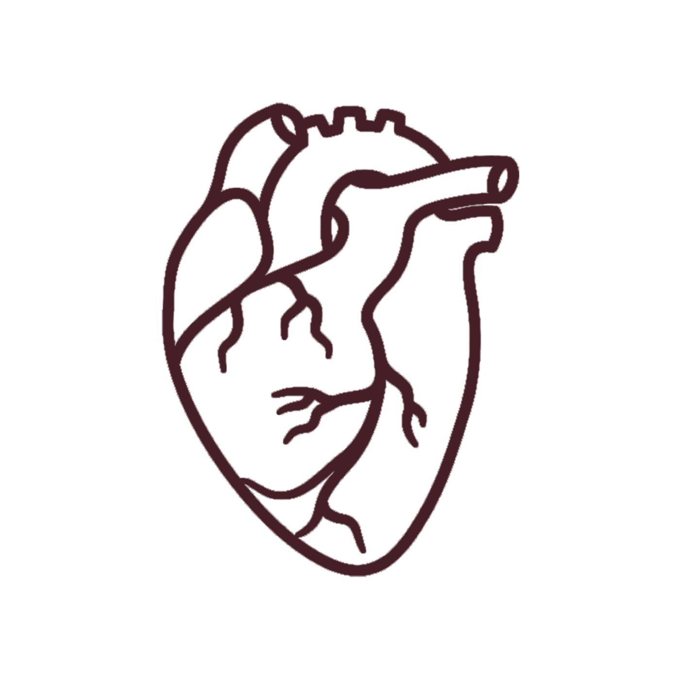 The Arteries podcast artwork