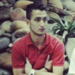 Darlan Vieira Martins