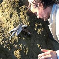 Philippe Michel Perchoc