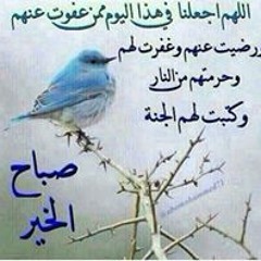 الحاجة آمال قطب