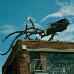 tsunamibird