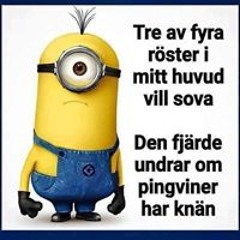 Karin Hyleborg