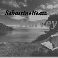 SebastineBeatz