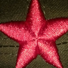 stalingraduate