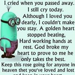 grandmasters/Nu Vybes/Kollision