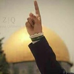 نور الحنبلي