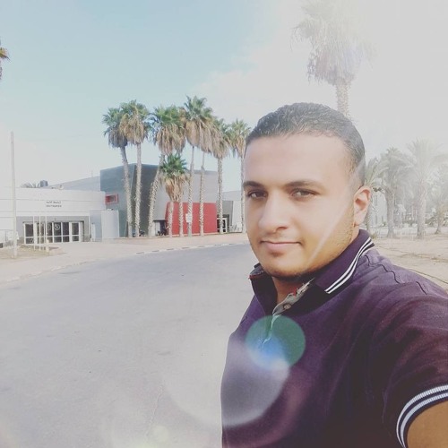 صايعين ضايعين