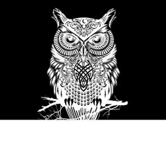 The Bright Network✅