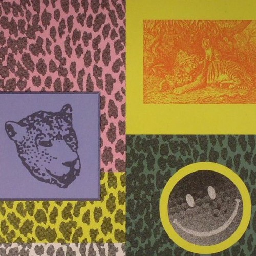 Her Name is Calla - Pour More Oil