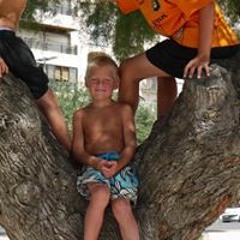 Beau Peelen