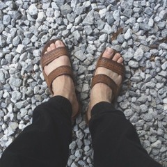 taylor james bassham