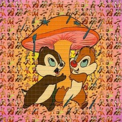 Chip&Chap 🐿