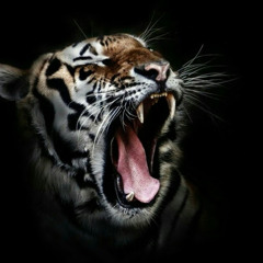 ๖ۣۜSao Phải Xuắn๖ۣۜ.