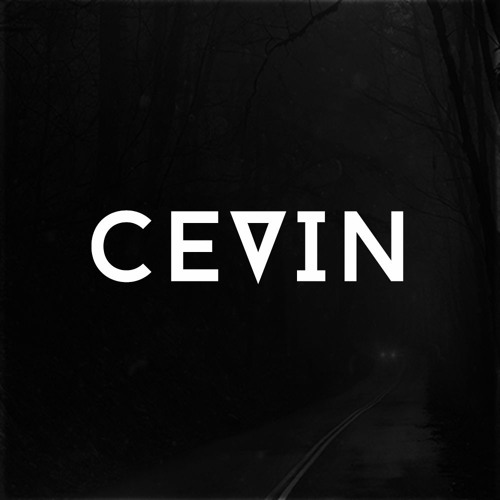 Cevin’s avatar