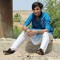 faiz