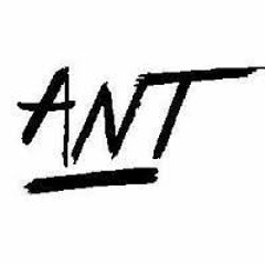 antnyg 1