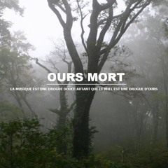 Ours Mort Wordpress