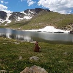 Santina Campbell Asimos