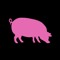 Riverpig