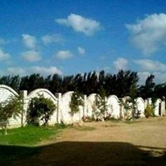 تلاوات  بصوت بدر تركي