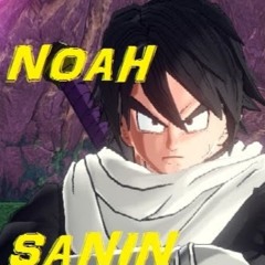 Noah Sanin