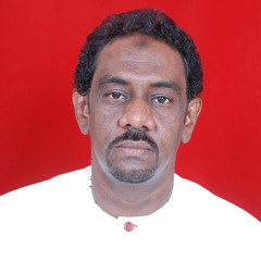 Walied Mahjoub Kairi