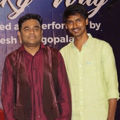 Something Wrong With Vedalam