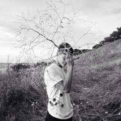 Запах Камелий