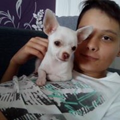 traubengxtt