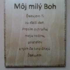 User 228608010