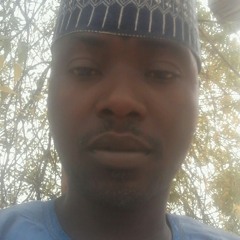 kingsun