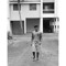 shane2498